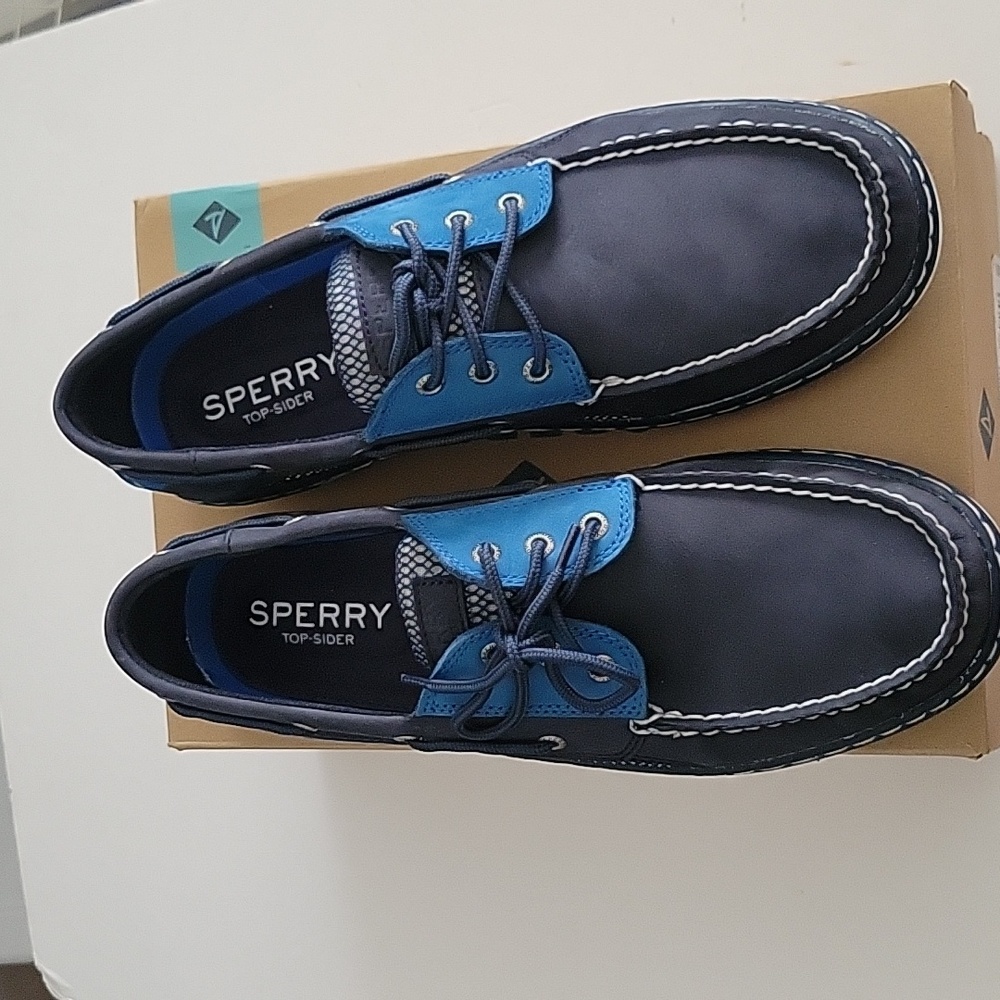 Sperry Billfish men's shoes